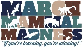 March Mammal Madness